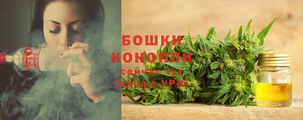 винт Баксан