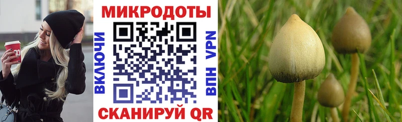 Псилоцибиновые грибы GOLDEN TEACHER магазин продажи сайты даркнета наркотические препараты Мыски
